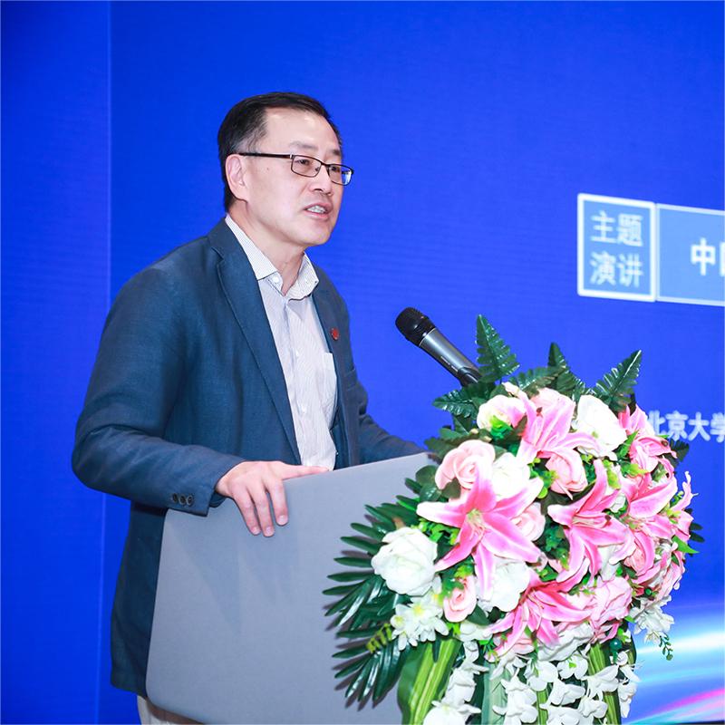 陈东敏